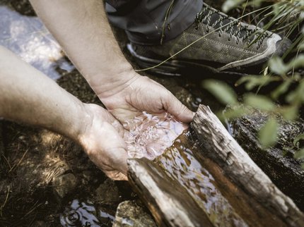 Entdecken Sie im Sommerurlaub die Tiroler Bergseen. Hände fangen frisches Wasser aus einem hohlen Baum im Wald auf