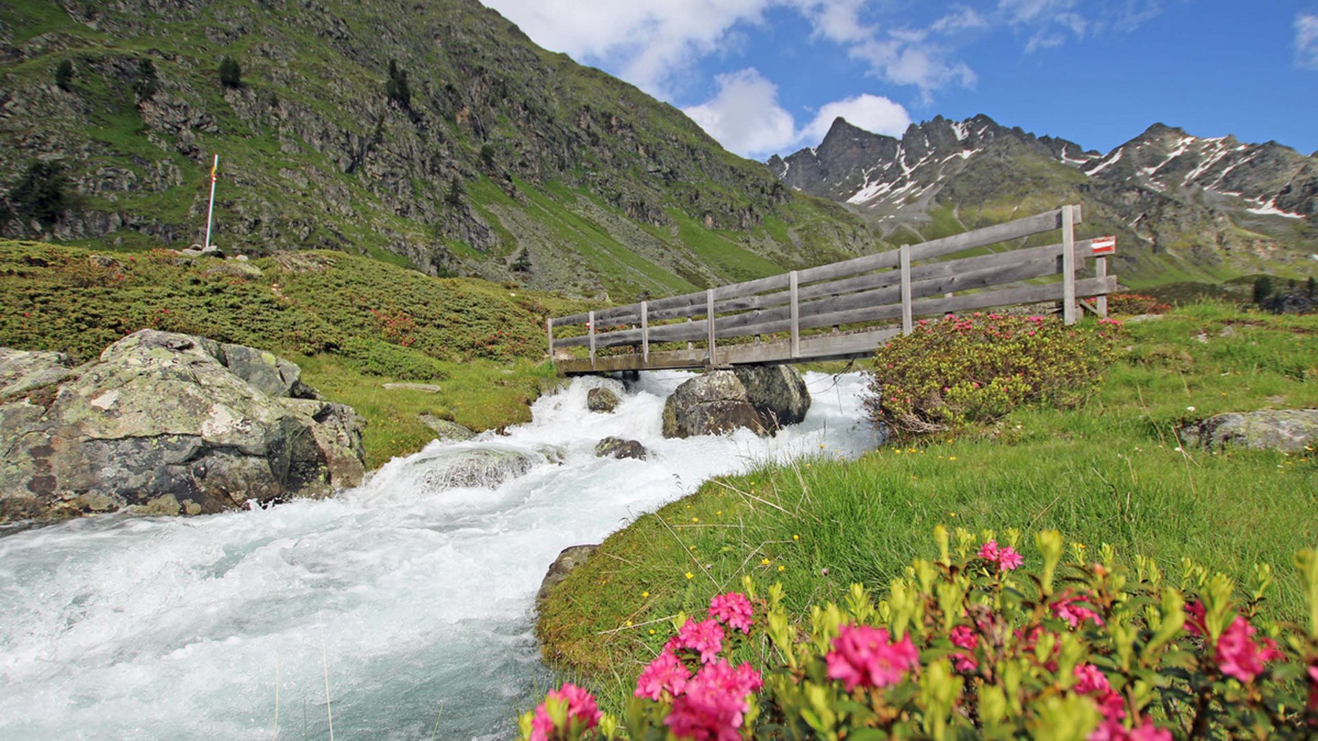 Entdecken Sie im Sommerurlaub die Tiroler Bergseen. Holzbrücke über rauschenden Bergbach mit Alpenblumen und Bergen im Hintergrund
