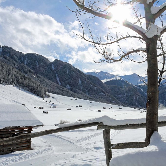 Langlaufen in Tirol: fantastisch! Verschneite Berglandschaft mit Baum und Holzzaun im sonnigen Wintertag