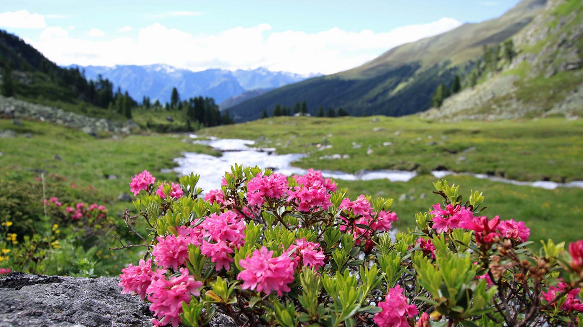 Hiking in the Tyrolean Oberland Hiking in the Tyrolean Oberland