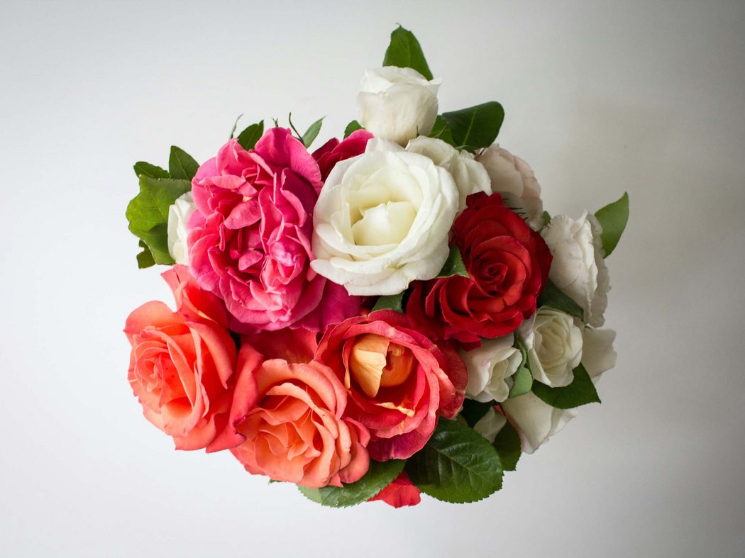 Mother’s Day gift idea Mother’s Day gift idea